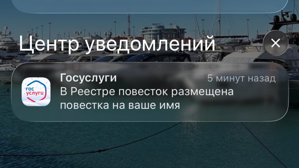 николь ниггман tweet media