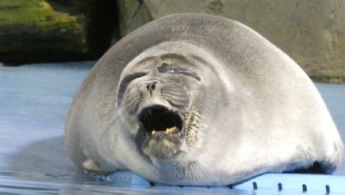 vibe rater tweet media