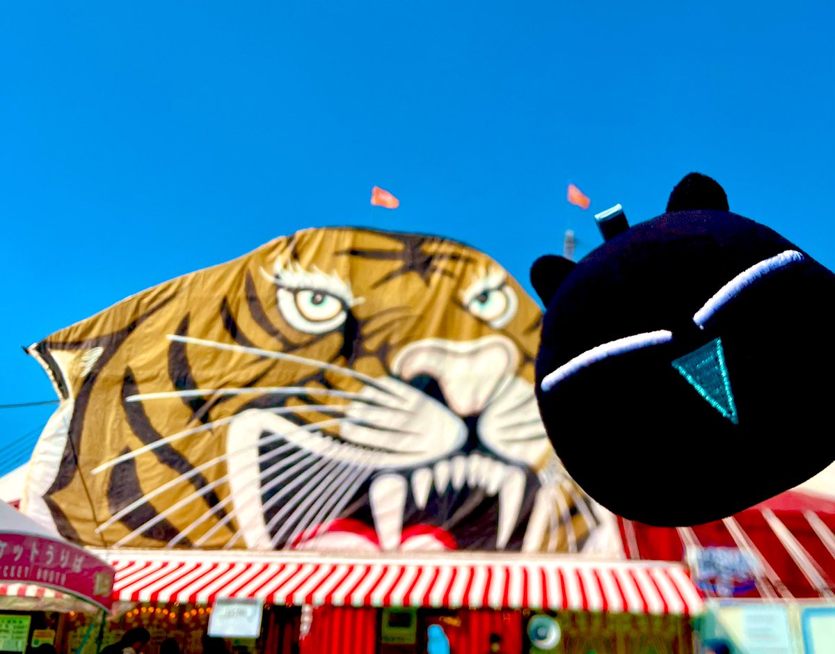 Post by ろろ🍟 on X: 🎪🐯ハィン