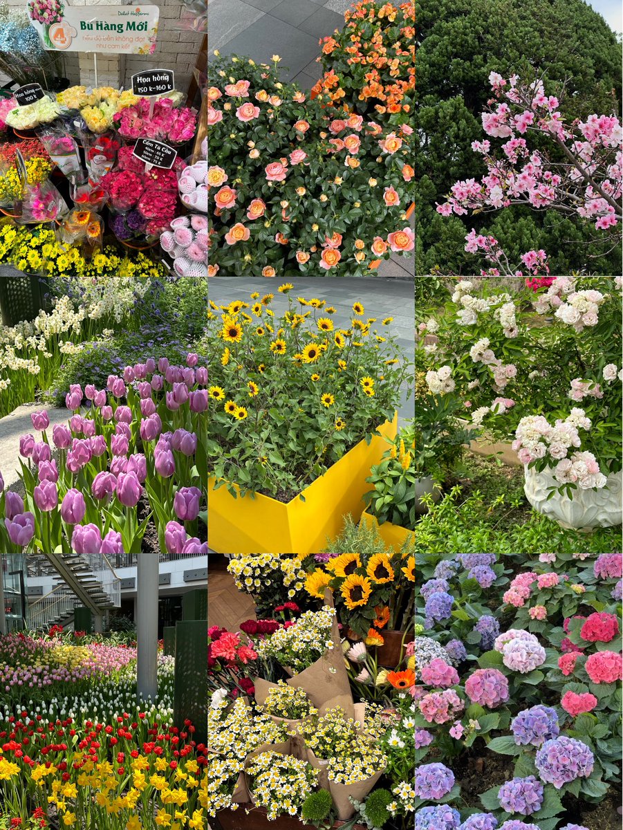 เมื่อก่อนนี่พูดตลอดถ่ายรูปดอกไม้เหรอ แก่ว่ะ ตัดภาพมาที่ตัวเองตอนนี้ก็ /ฉ่ามมมมมมม😮‍💨