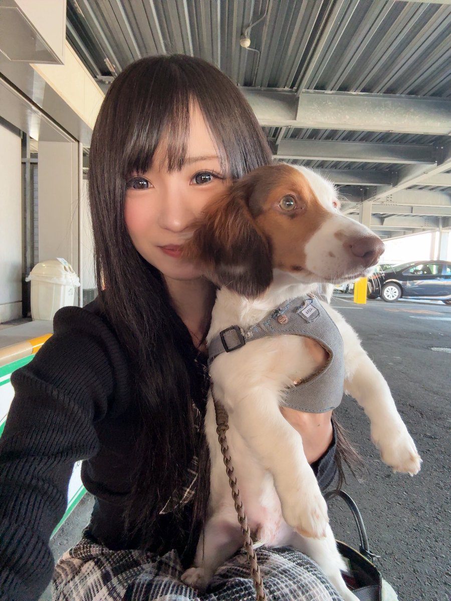 カンちゃん専務 超公式🐤 (@castlekanchan88) / Posts / X