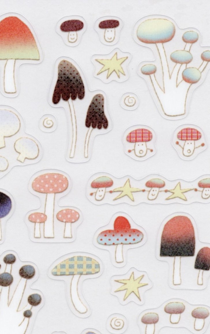 도아마 tweet media