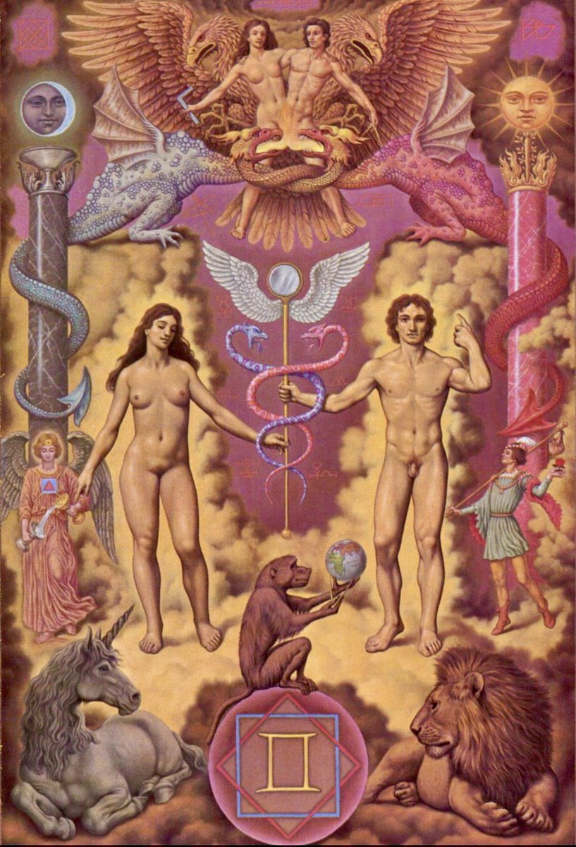 noraa7 🇮🇷 tweet media