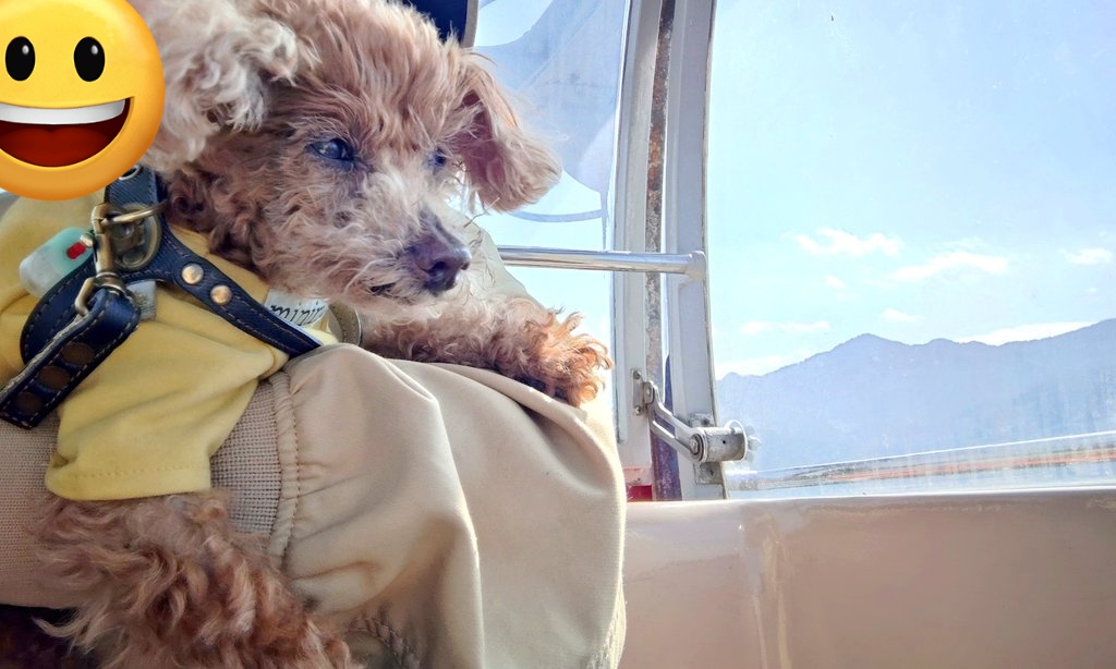 相模湖のｲｯﾇと入れる遊園地にお出かけ！ 観覧車やリフトに乗って
