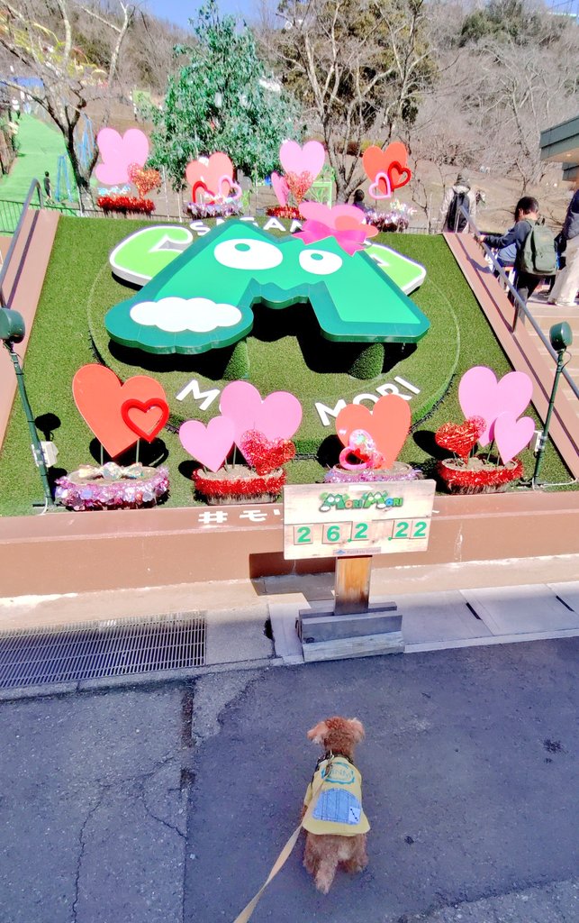 相模湖のｲｯﾇと入れる遊園地にお出かけ！ 観覧車やリフトに乗って