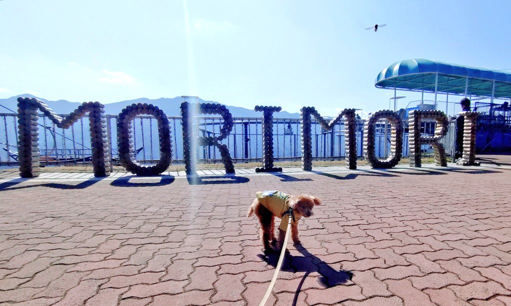 相模湖のｲｯﾇと入れる遊園地にお出かけ！ 観覧車やリフトに乗って