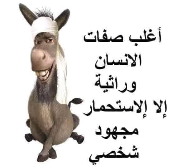 mfy1644690's tweet photo. @rodiczzz ممكن جنابك العبقري ..تعطينا المصدر او الكتاب الذي ذكر قول.رسولنا محمد صلى الله عليه وسلم.أدركني ياعلي أو صد الكتيبة عني..والله تعرف انك كاذب وانا اعلم انك كاذب والله عليم السموات والأرض يشهد بأنك كاذب دجال .وتفتري الكذب على أشرف خلق ألأمة محمد صلى الله عليه وسلم https://t.co/12koxYwB92