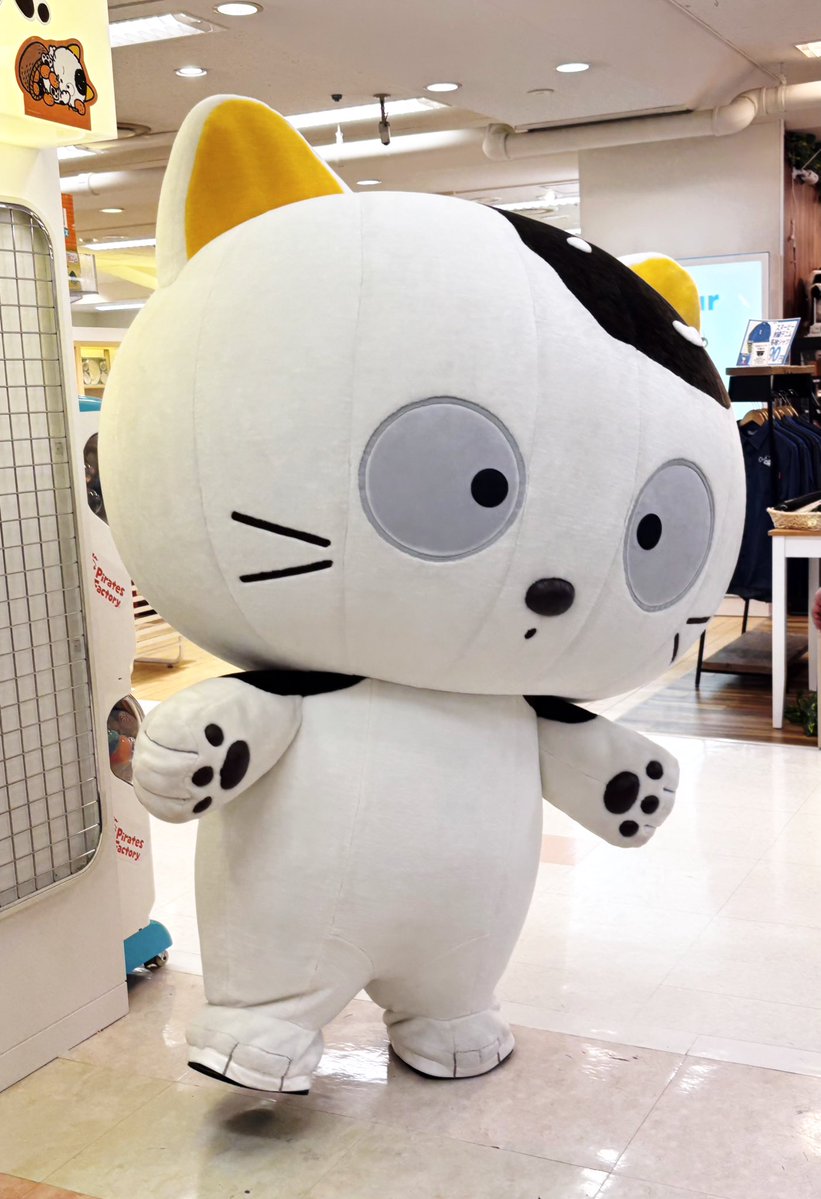 ぱぴこ (@pppppppapico) / Posts / X