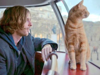 ボブという名の猫2 なんと！5年前のBSテレ東の猫の日放映を今年見た