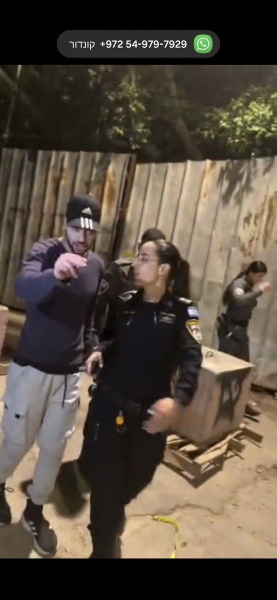 ilana curiel tweet media