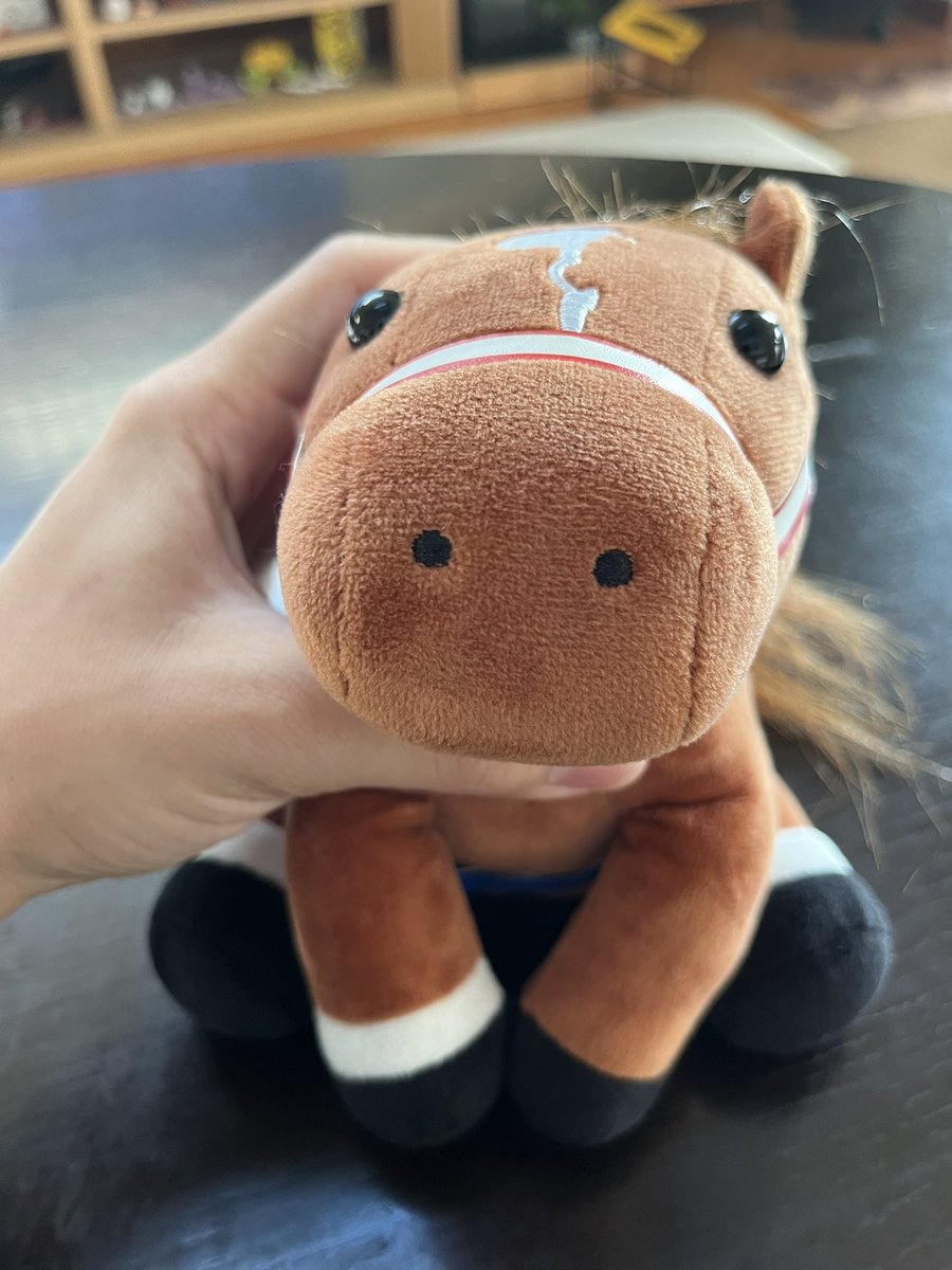 実は過去に4回生で観ているコスタノヴァ🏇フェブラリーステークス連覇