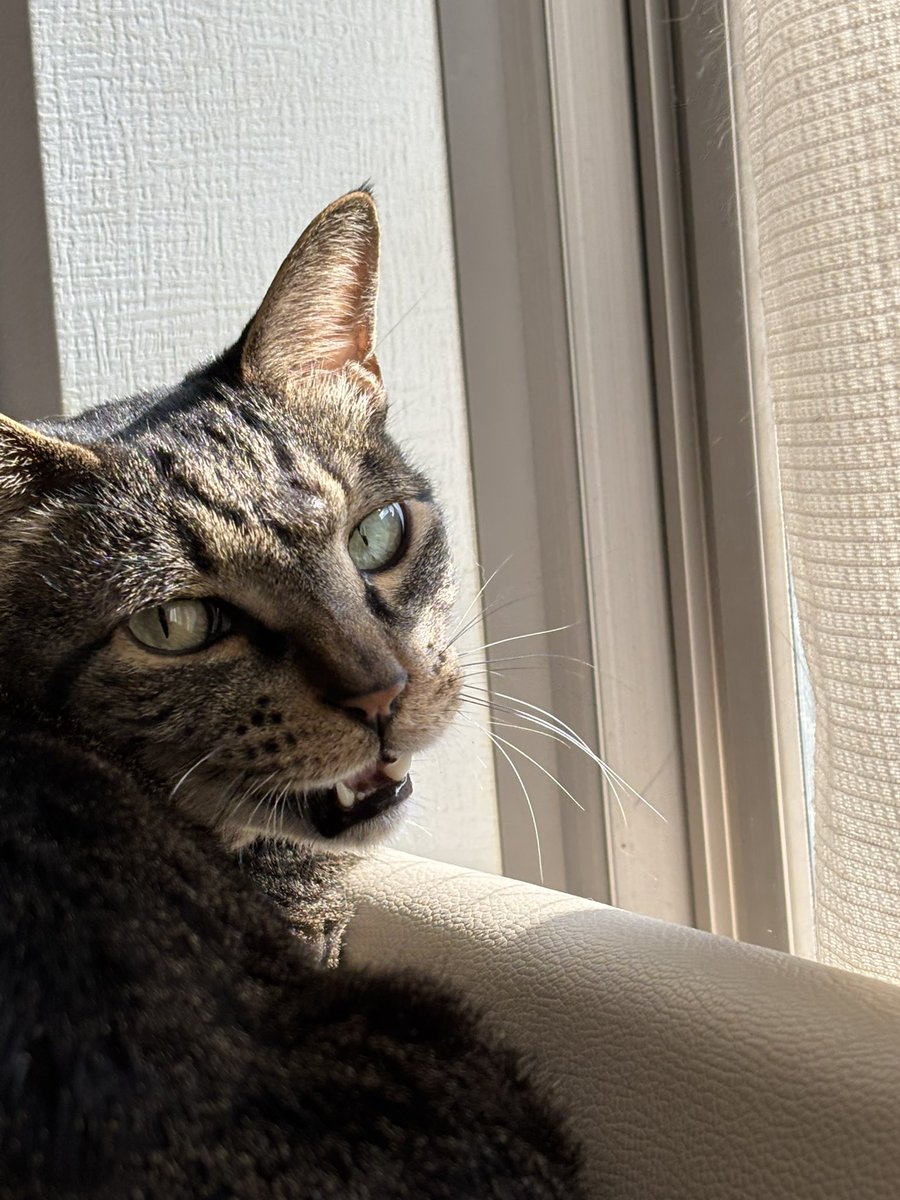 rieko/Rieko Ishii (@riekochoki) / Posts / X