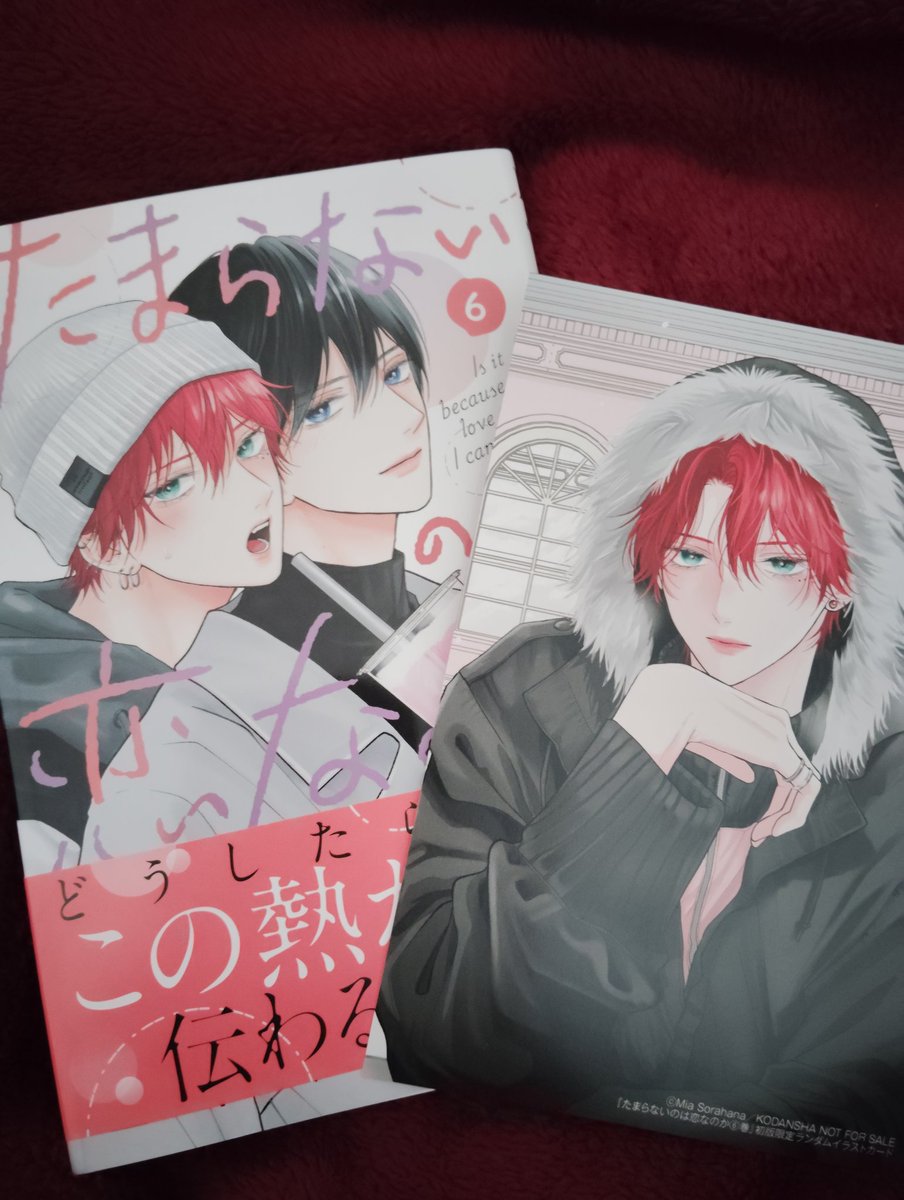 はぁぁ…やっと買えましたぁ…天使天使（） ランダムカードは推しの美澄