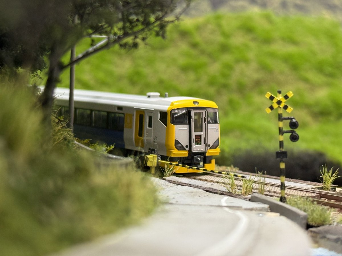 総武本線成田屋前踏切ｼﾞｵﾗﾏ(仮称)】その29 面積的には半分終わりました
