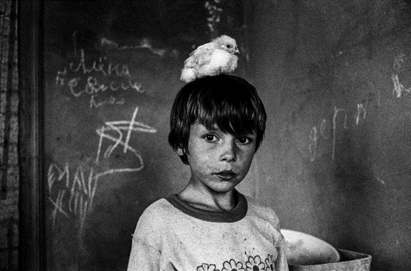 France in Cape Town tweet media