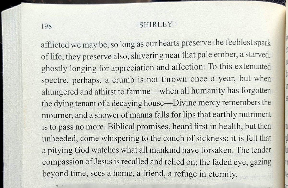 "So long as our hearts preserve the feeblest spark of life, they preserve also, shivering near that pale ember, a starved, ghostly longing for appreciation and affection."

The beauty of words from Charlotte Bronte's 'Shirley'🌸