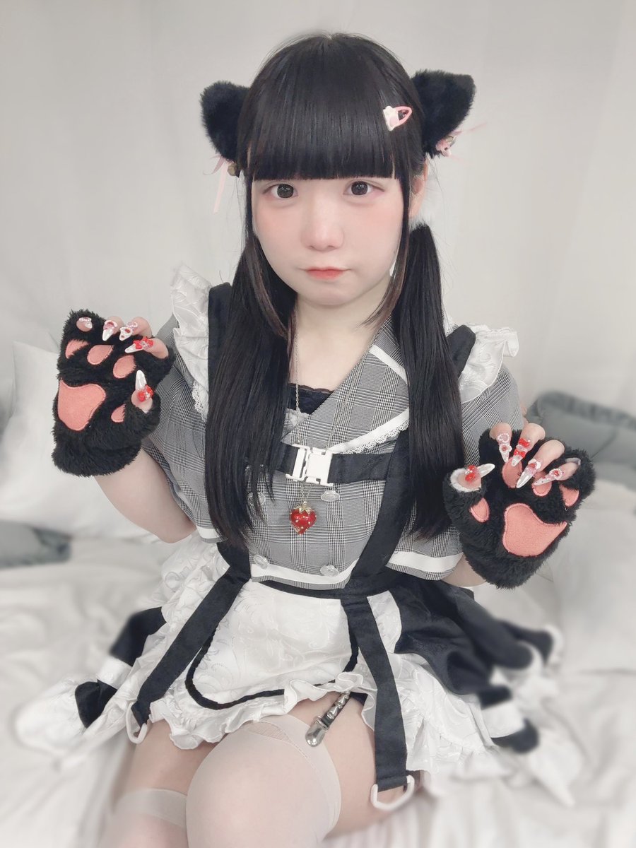 Post by かなた🍰♡ Mimi 3／21生誕 on X: にゃんにゃん