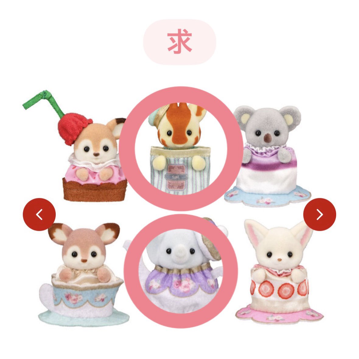 emﾐ・◦・ﾐ🎀 tweet media