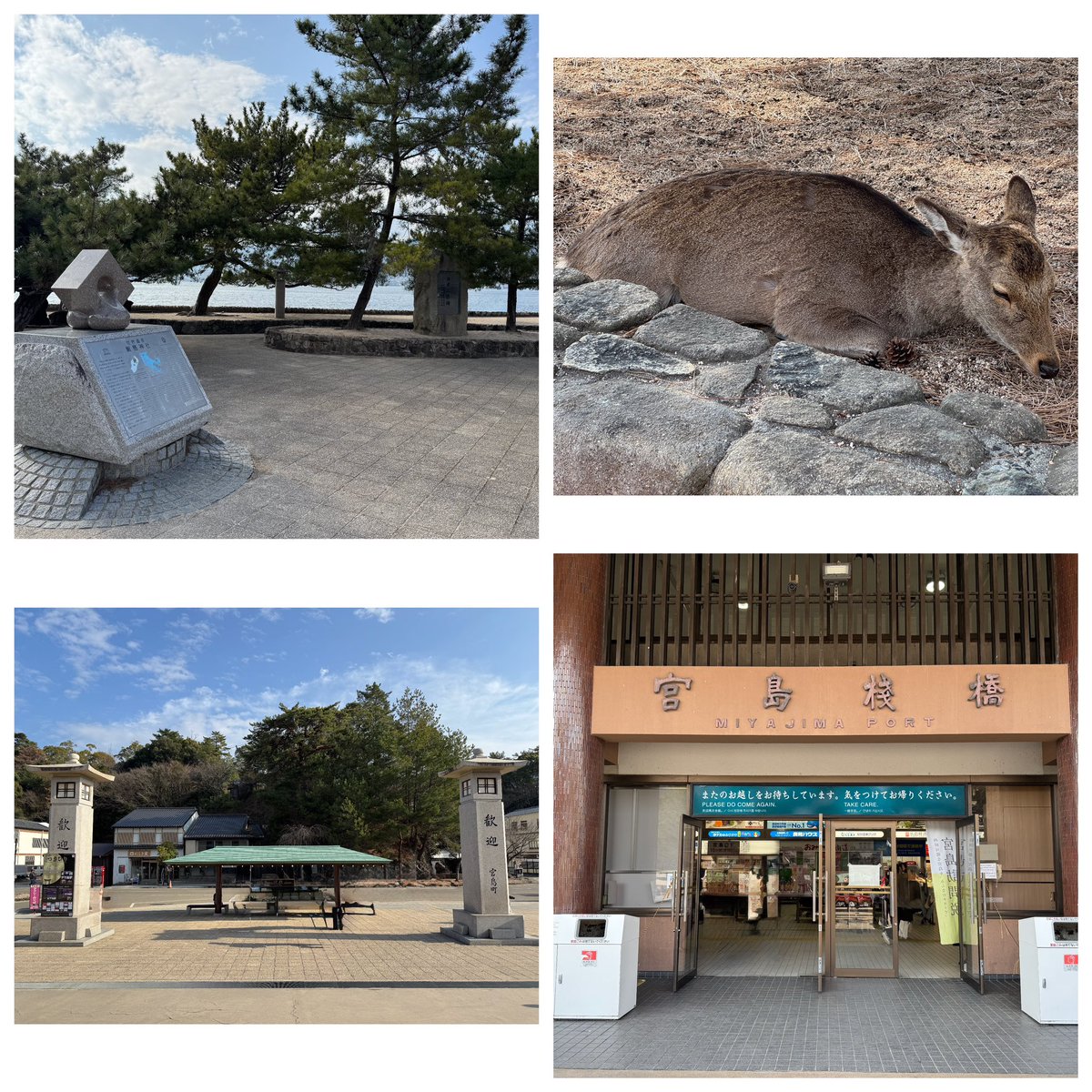 かっきー (@k1105smilehappy) / Posts / X