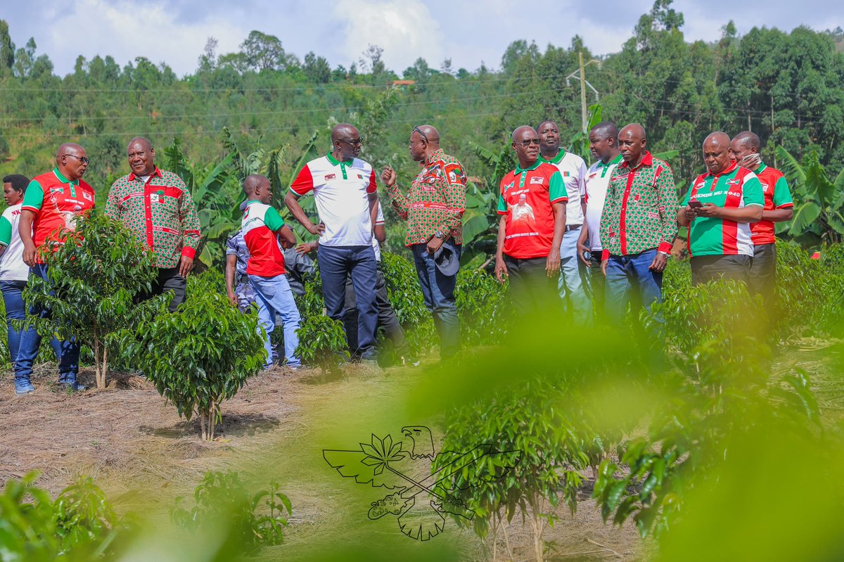 CNDD-FDD tweet media