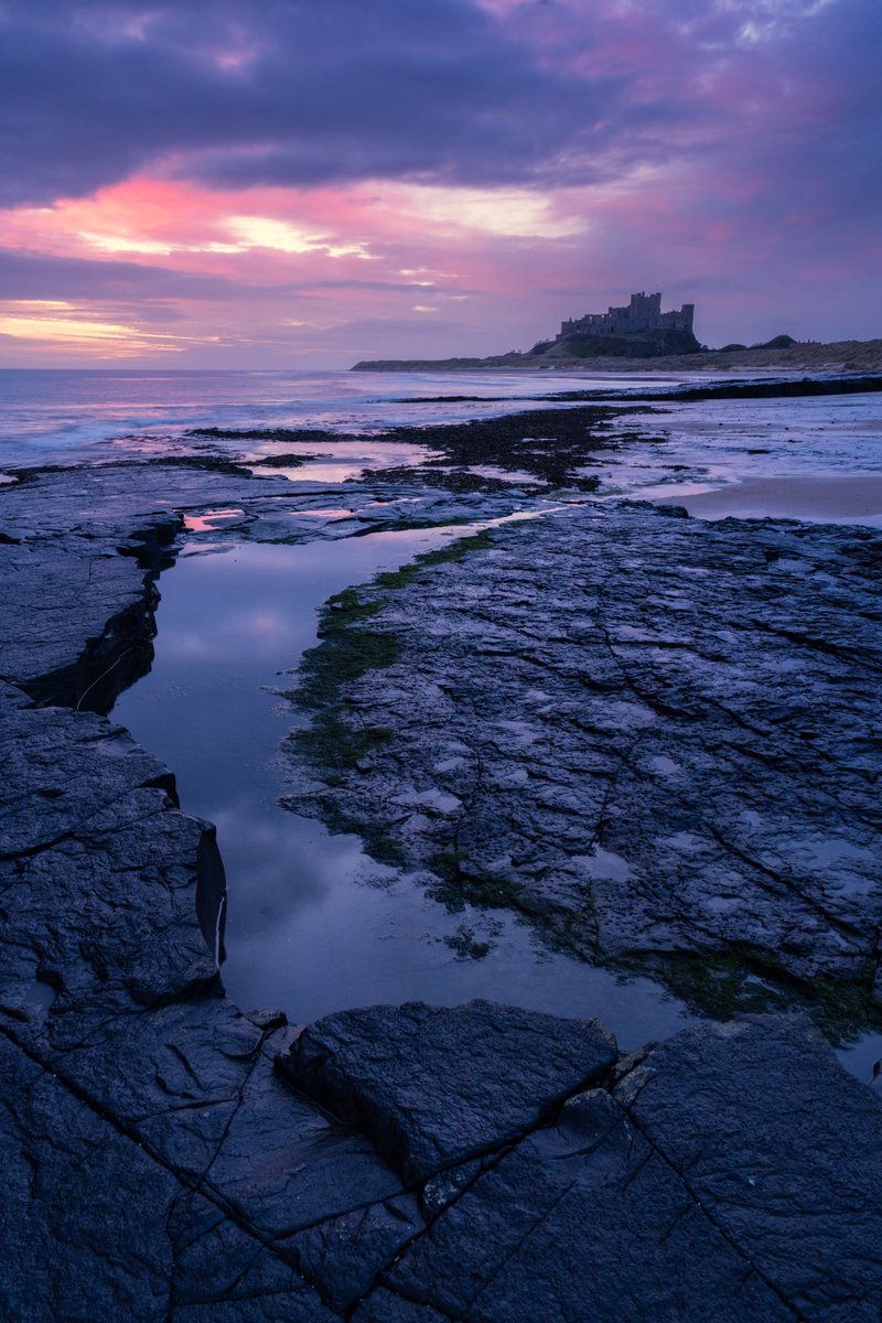 Jim Scott tweet media