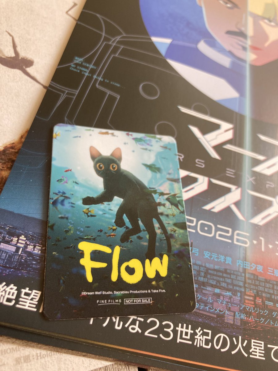 映画『Flow』公式 2.22猫の日限定再上映 (@flow_movie0314) / Posts / X