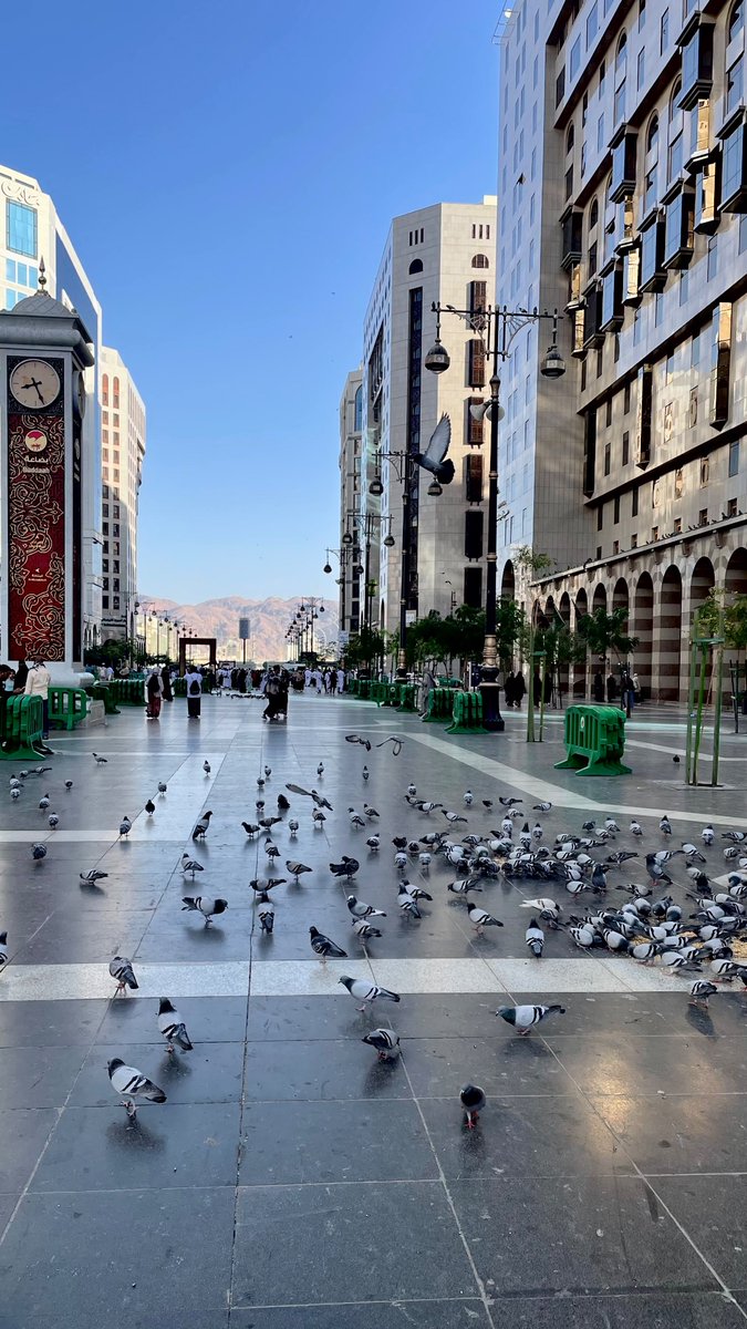 ريمَاز tweet media