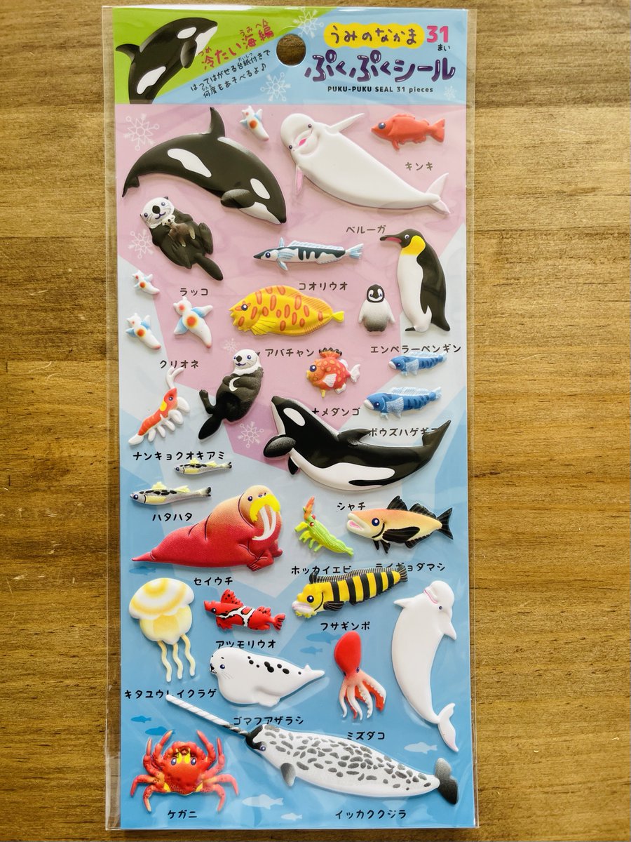 海のなかまたちです🐙🦀🪼