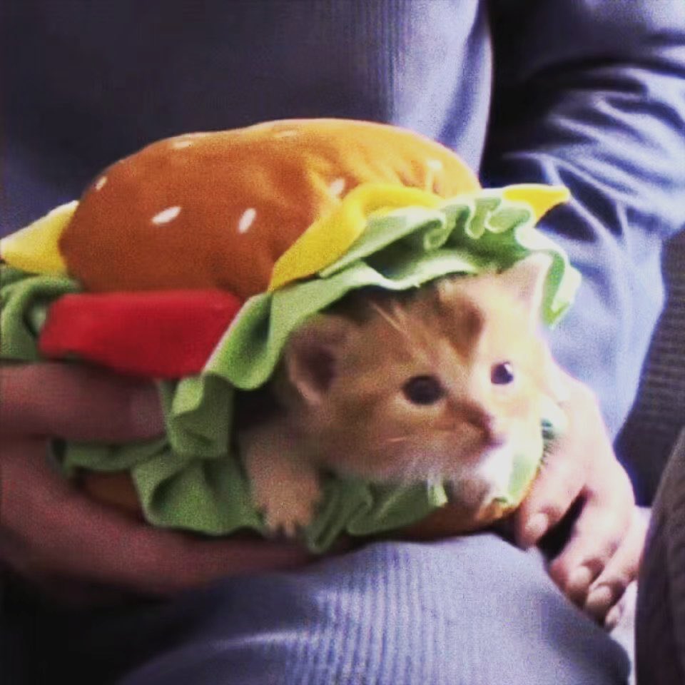 北夜もえ tweet media