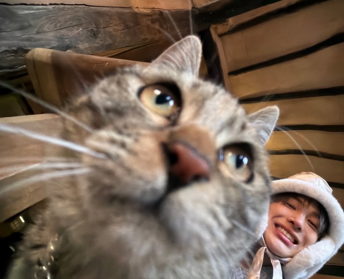 slow 참why tweet media