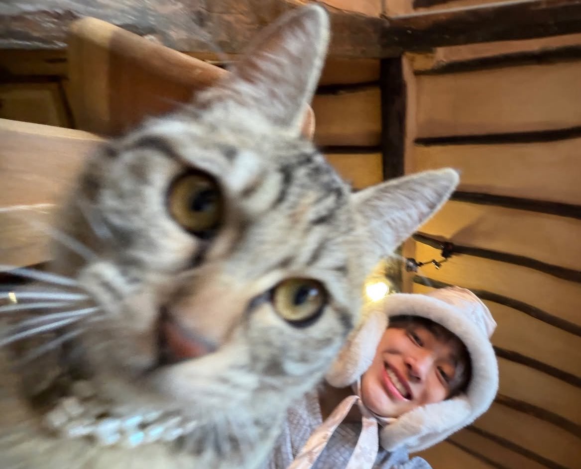 slow 참why tweet media