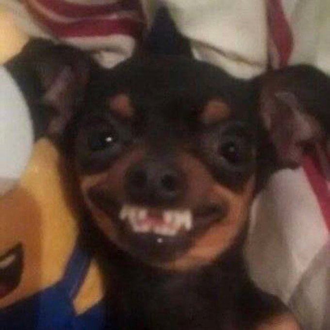 As you dey unfollow me for midnight I dey unfollow you for morning is that clear