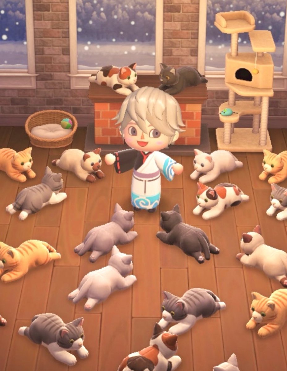 猫の日🐈
世界中の猫さんに幸あれ
#猫の日 #あつ森