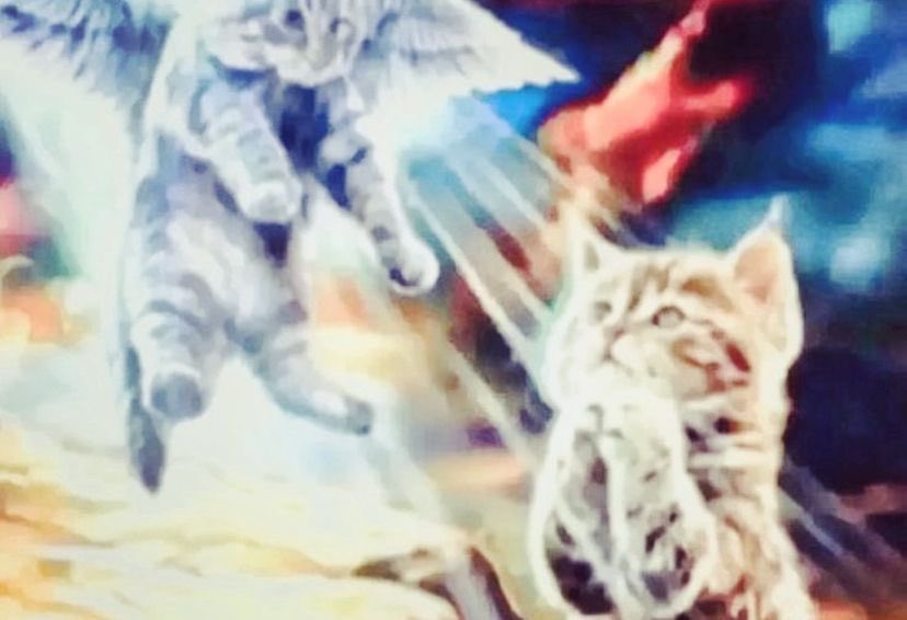 Mi peor miedo es ser la prota de un anime shonen y que tenga una clara narrativa homo con mi mejor amiga (Sami) y que casi casi gritemos a los cuatro vientos que nos amamos, pero que los fans de mi anime a fuerzas quieran emparejarme con el hombre más insípido posible