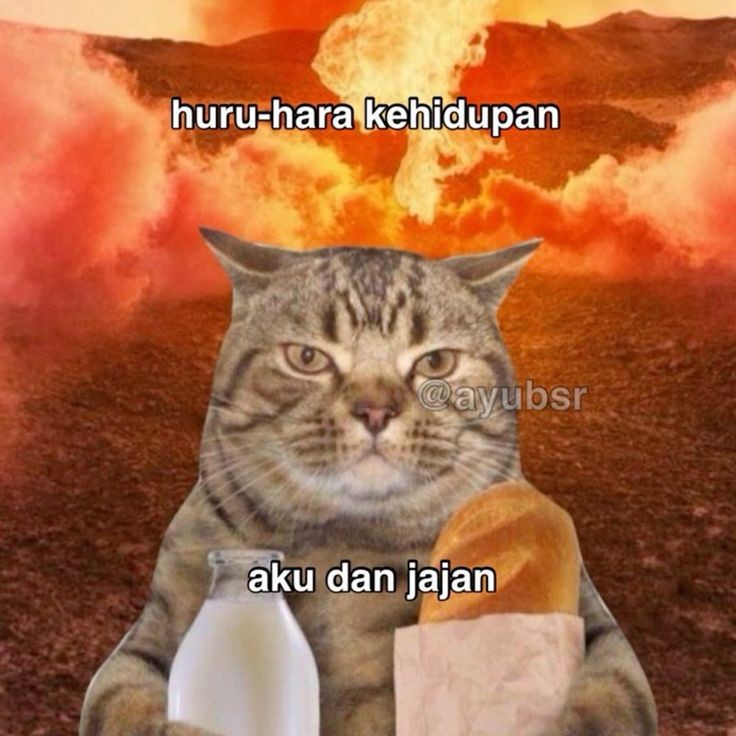 alfiryn02's tweet photo. @_AmandaBrownies ᗩΚᑌ ᗪOᗰIՏIᒪI ՏᑌᖇᗩΚᗩᖇTᗩ
#WarTakjilAmanda https://t.co/x7B9FwsmpU