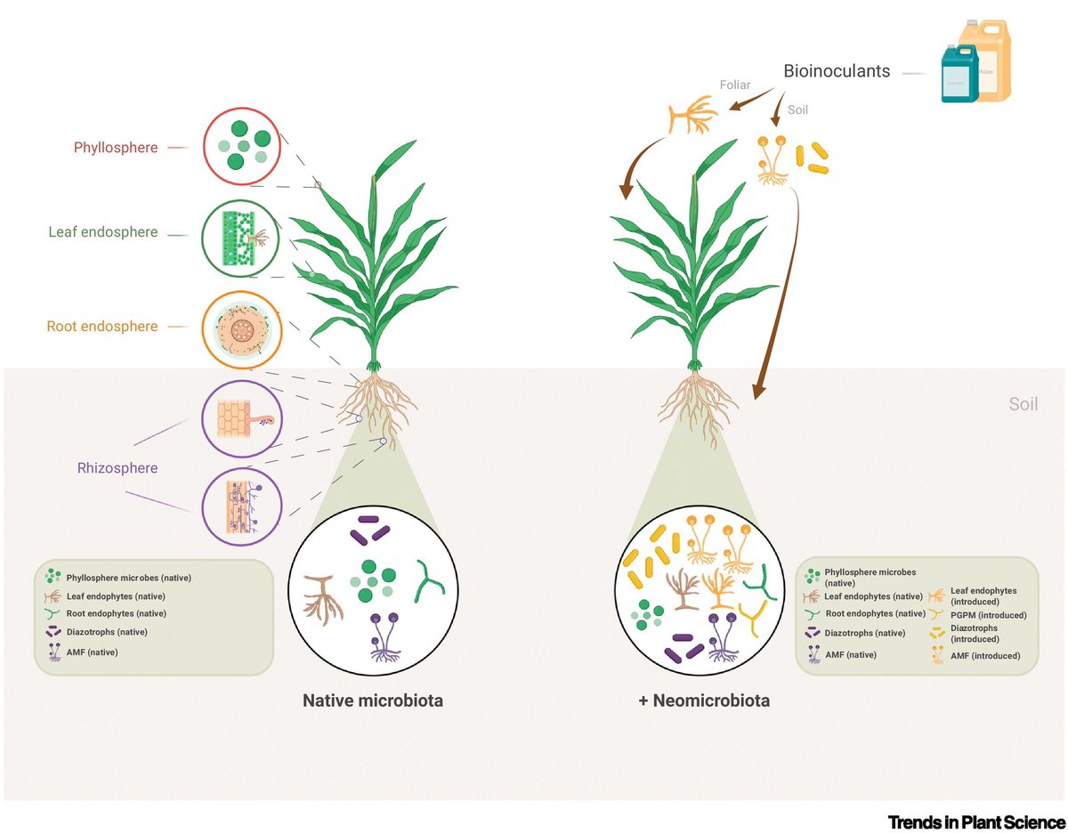 AgriExperts tweet media