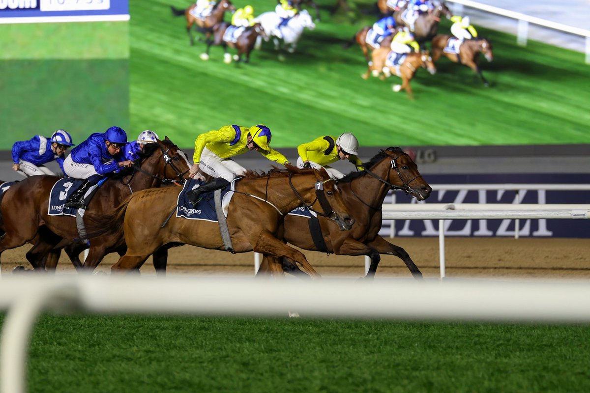 m.a.orfe2012.2013 tweet media