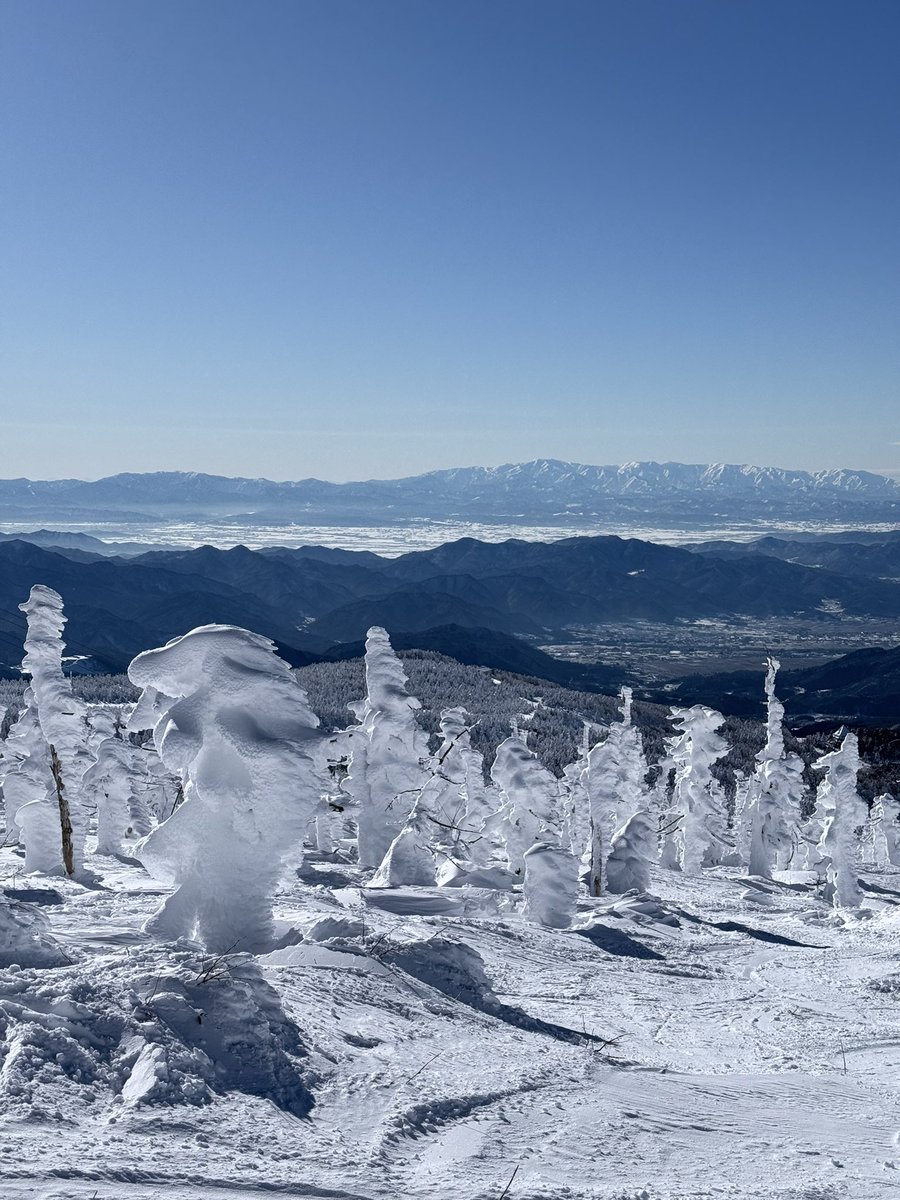 Michael Ou tweet media