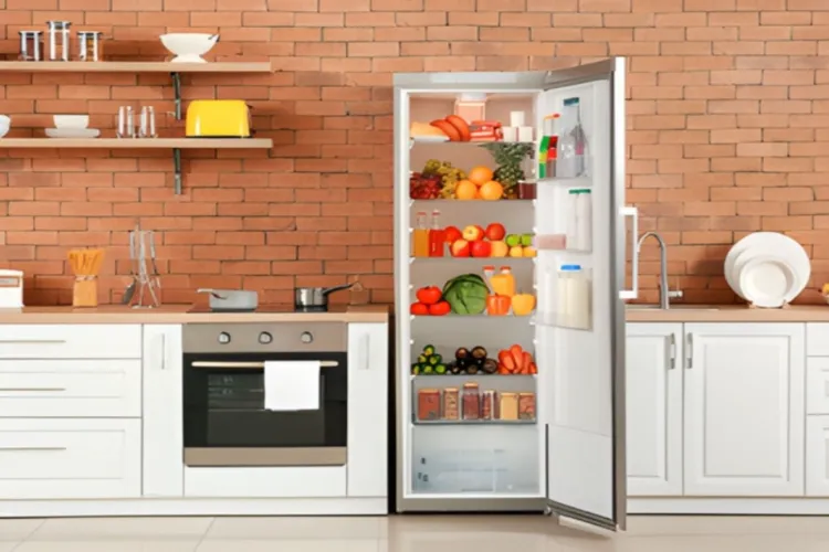 Dnn24Network's tweet image. Rising power tariffs boost demand for energy-efficient refrigerators in 2026. 

Read the Full Article: awazthevoice.in/india-news/ene…

#EnergySaving #SmartAppliances #India #PowerCosts #DNN24 @AwazThevoice