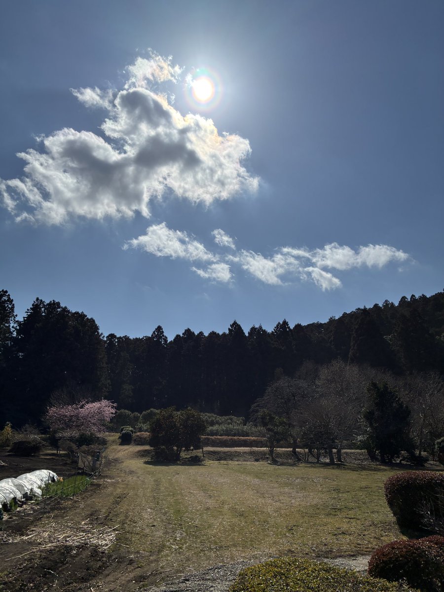 and_bicycle's tweet photo. 本日はお暇をいただき、南房総のトレイルライドへ。
終始南風が強く吹く日でしたが、山中はいたって静か。楽しんできました。 https://t.co/9ueOuMQi15