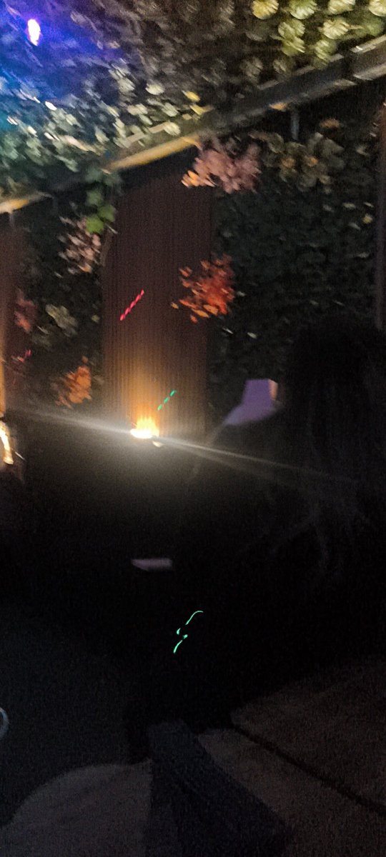 conejitos sexys tweet media