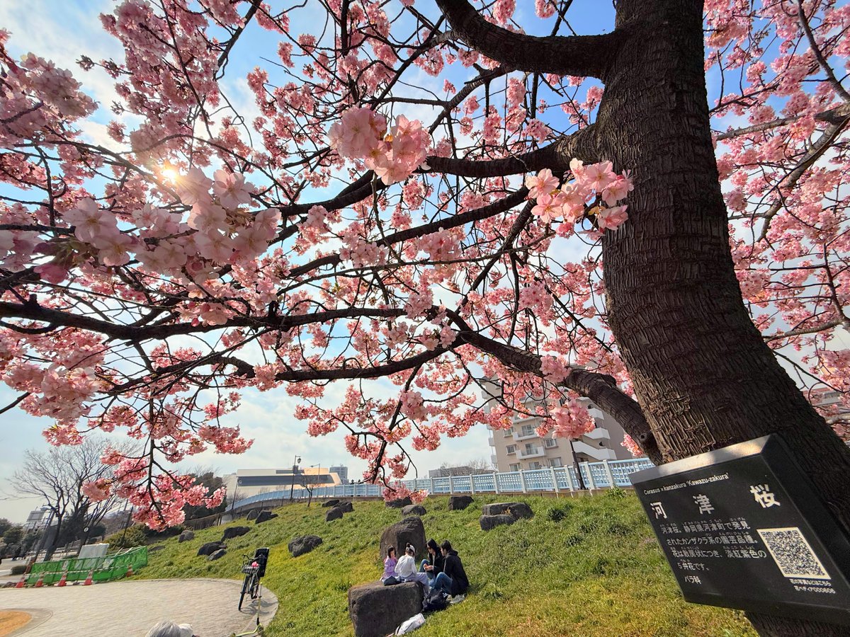 ハッチャン：ランニングアドバイザー tweet media