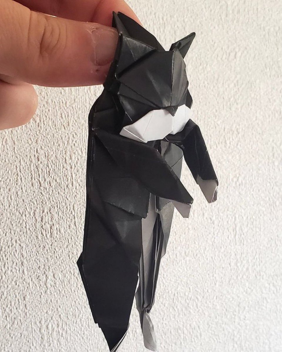 The Cats 𝕏 tweet media