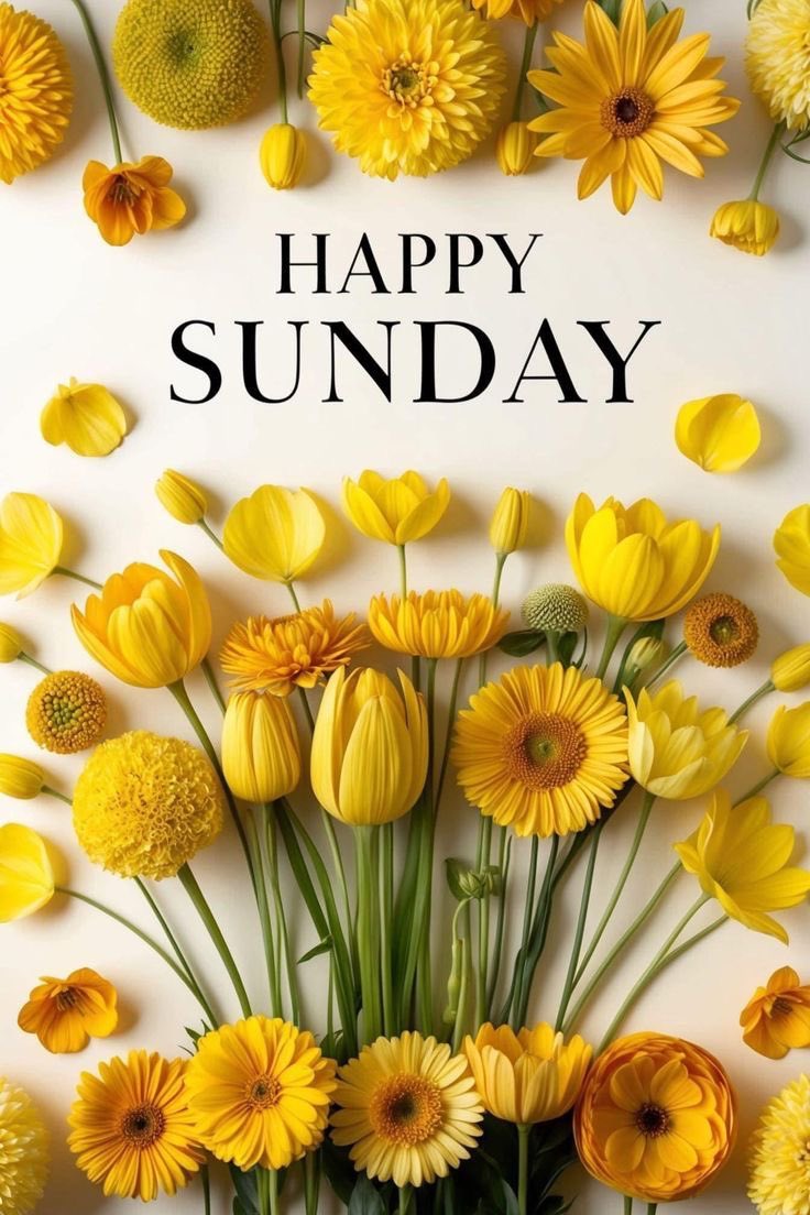 Good Morning Friends