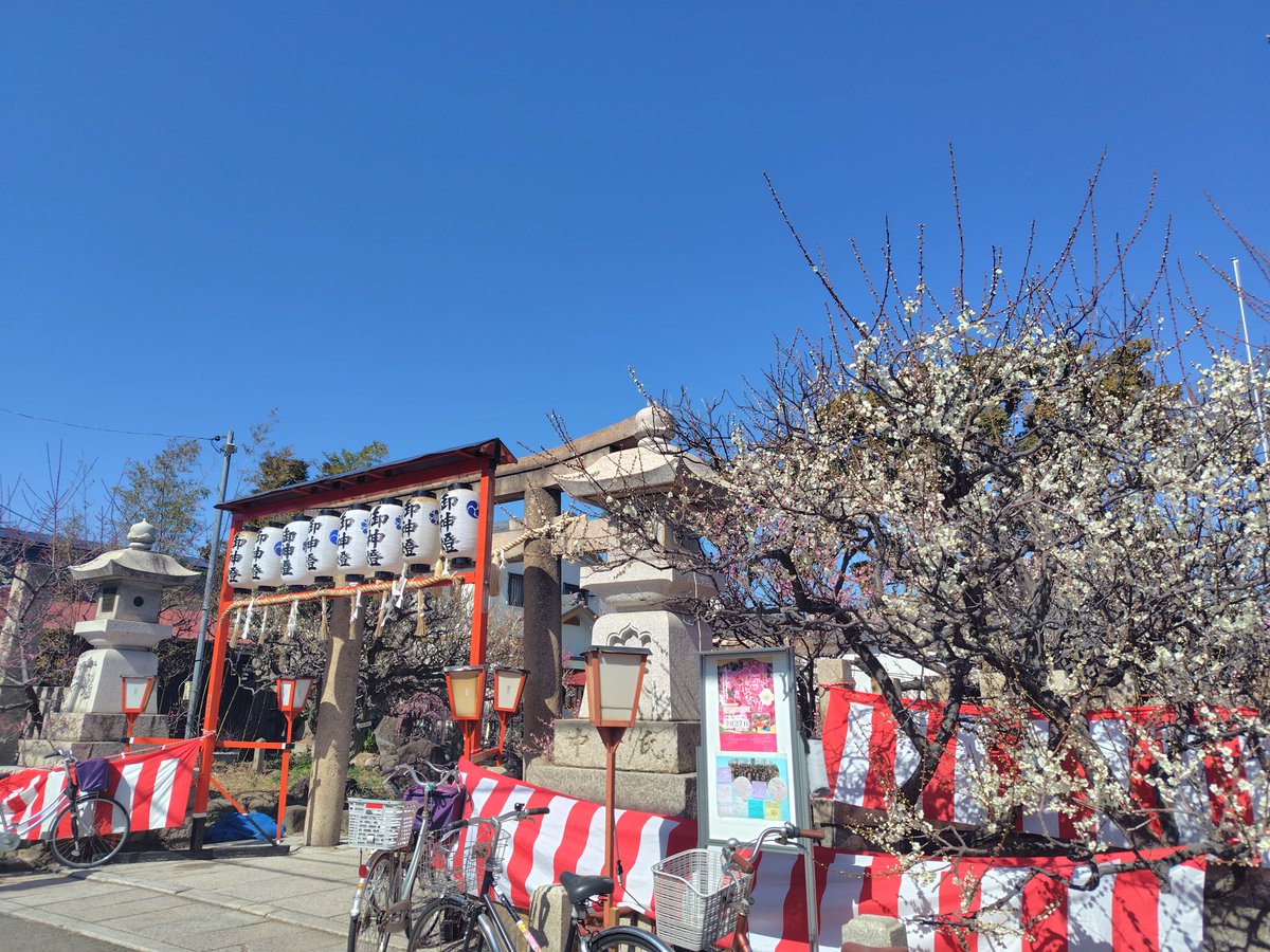 qcl3s's tweet photo. 尼崎熊野神社の梅祭りに行ってきました。ほんと天気も良かったので、いい時間でした。#尼崎熊野神社#神社巡り#梅名所 https://t.co/tE9gaF29vl