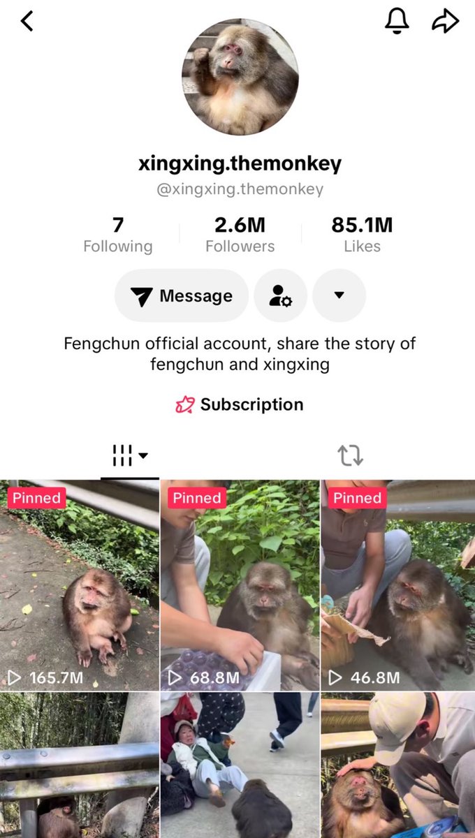 Mr.Trencher tweet media