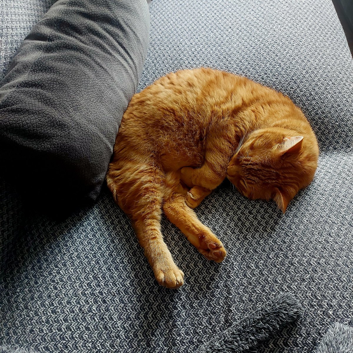 pazar, 
deliksiz uykusuna bakıyorum...