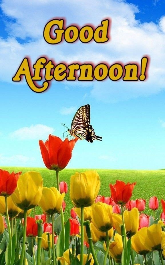 Good afternoon X family 
Stay connected 💕💖