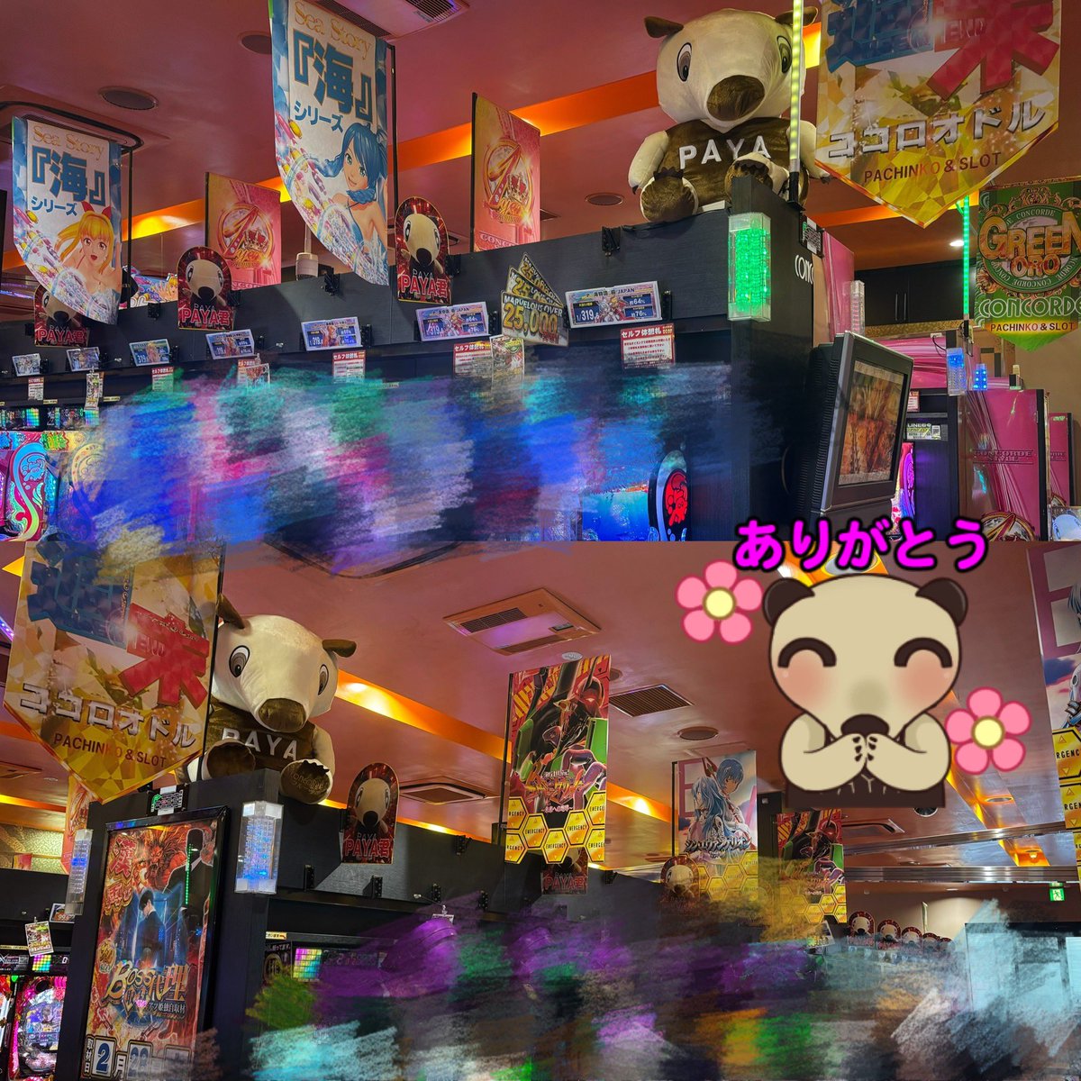 ここな (@cocona_kamone) / Posts and Replies / X