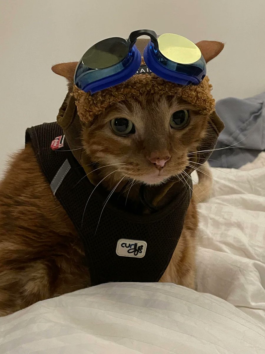 Overwatchニュース@おばにゅー tweet media